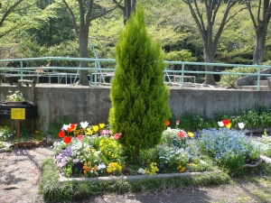 釜利谷緑道内の公園の花20120424